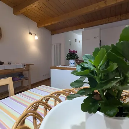 Apartamento Casa Oxilia
